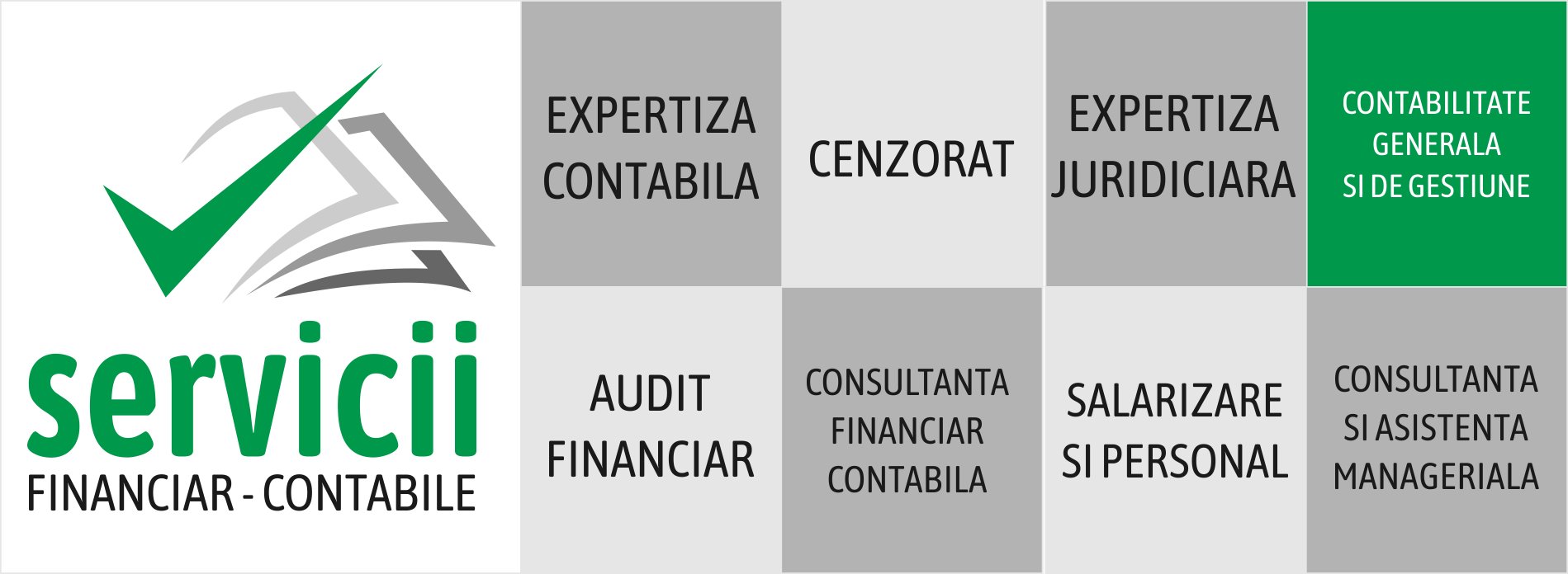 Audit Financiar Iasi Servicii Audit Financiar